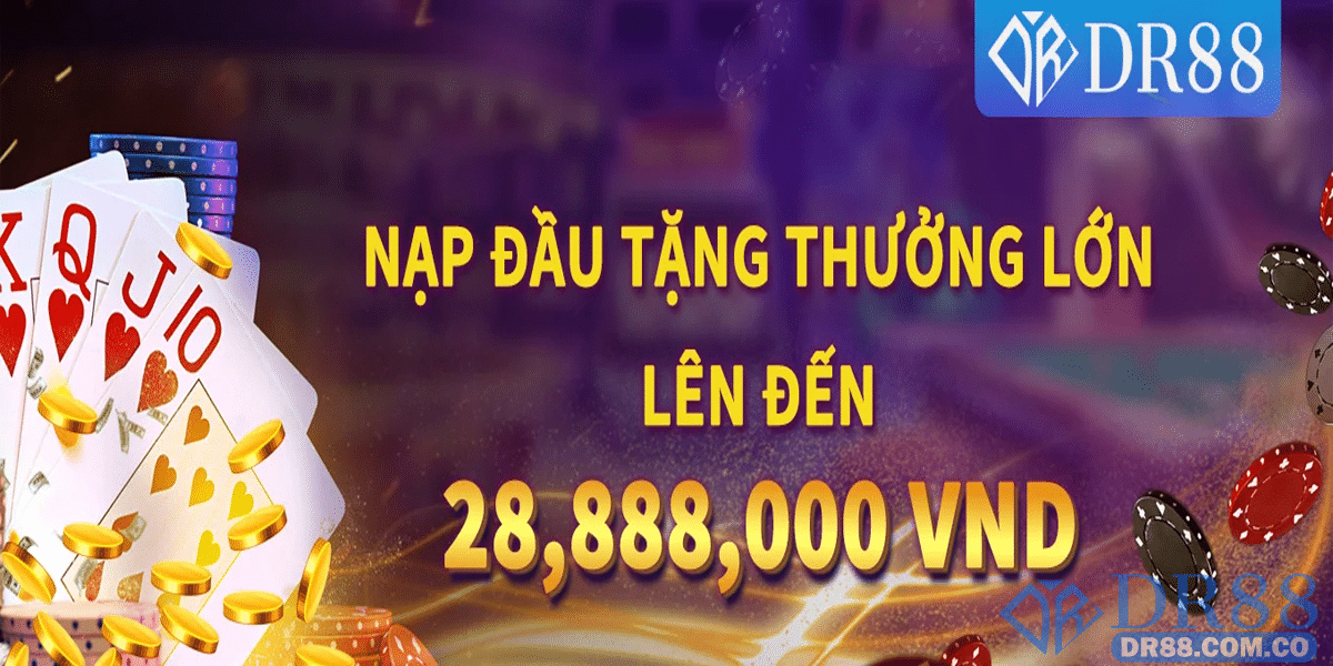 Giải đáp thắc mắc khi đăng ký tài khoản hệ thống DR88 nhanh chóng