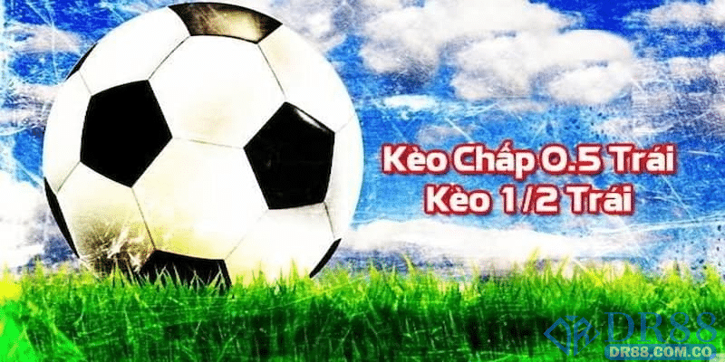 Định nghĩa kèo 2 1/2 là gì