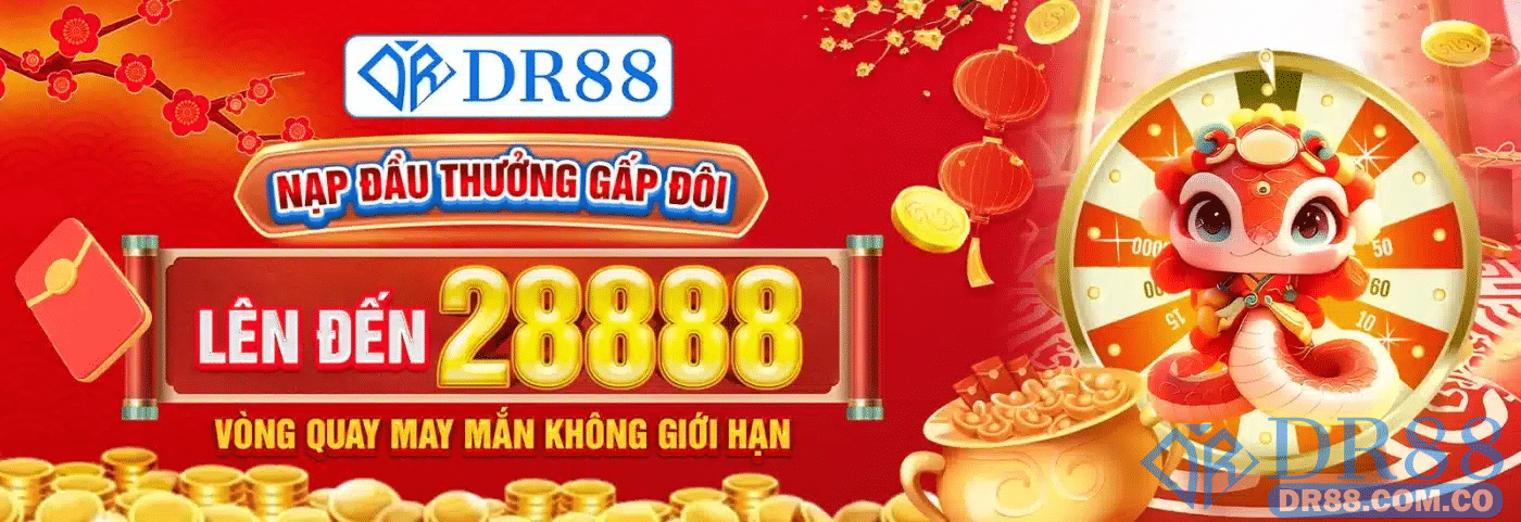 Nguồn gốc hình thành và quá trình phát triển của DR88